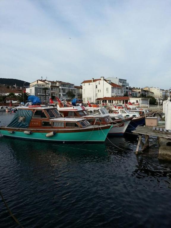 Ada Sahil Hotel Adalar Exteriör bild